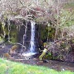 DSCN2104