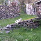 DSCN2151