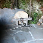DSCN2157