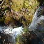 DSCN2075