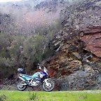 DSCN2118