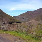 DSCN2115