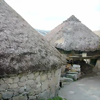 DSCN9149