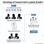 electing-a-party-leader-1915812