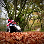 40-IMG_4173