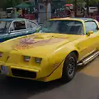 Trans Am 79-81 CA-8937-O