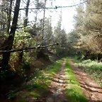 DSCN2081