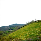 DSCN4078