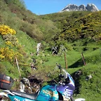 DSCN8080