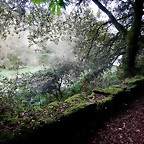 DSCN3743