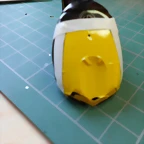 DSCN4317