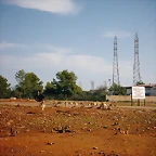 PIC04791