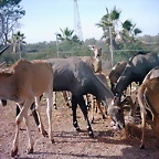 PIC04814