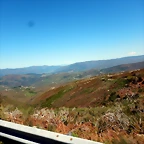 DSCN5619