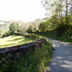 DSCN0993