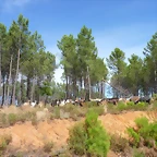 P1070262