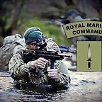 insignia Royal Marines