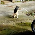 DSCN2239