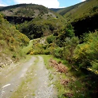 DSCN9405