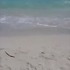 Video Mar?a IG Stories 26-6-2017 (9)