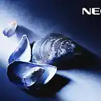 nec2