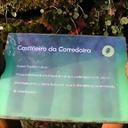 DSCN7215