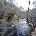DSCN3350