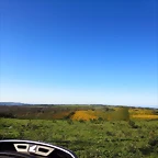 390