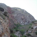 DSCN7319