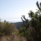 DSCN7328
