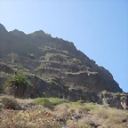 DSCN7300
