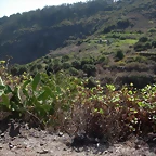 DSCN7341
