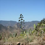 DSCN7357