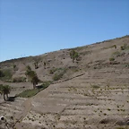DSCN7470