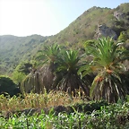 DSCN7370
