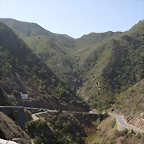 DSCN7373