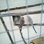 IMG_20171230_122505_472