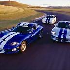 Dodge Vipers