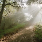 Douglas Family Preserve, Santa Barbara, California