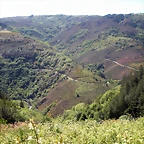 DSCN5024