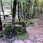 DSCN1867