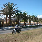 DSCN3541