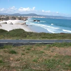 DSCN3558