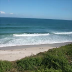 DSCN3551