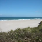 DSCN3542