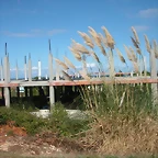 DSCN3573