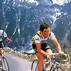 1980,GIRO,FATATO,