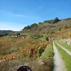 DSCN4497