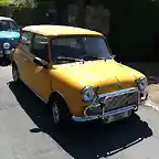 Mini 1000 L y 505 gtdt