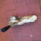 DSCF1390
